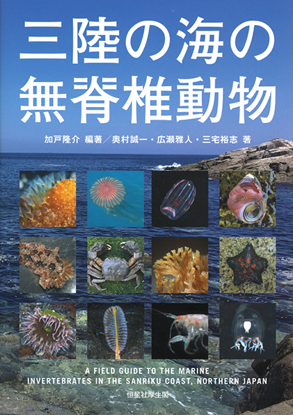 水産無脊椎動物学 水産無脊椎動物学入門 | 林 勇夫 |本 | 通販 | Amazon